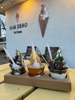 Sub Zero Ice Cream - 2026-04-23